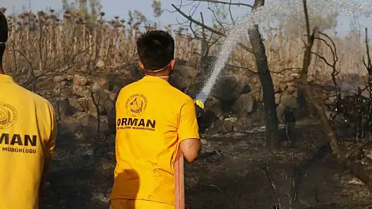 Adana'da 25-30 hektarın yandığı orman yangını kontrol altına alındı