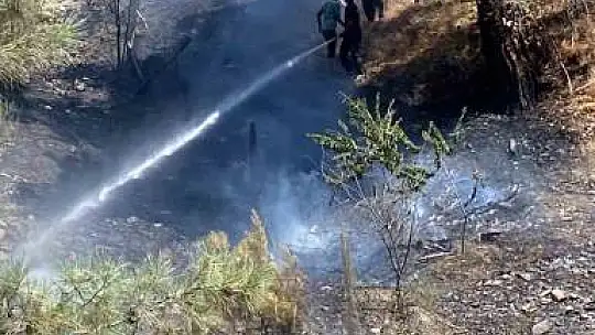 Adana'da orman yangını büyümeden söndürüldü
