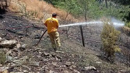 Adana'da orman yangını büyümeden söndürüldü