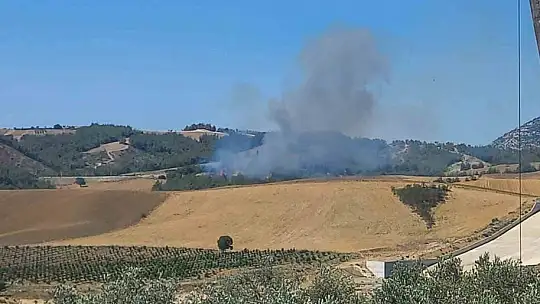 Adana'da orman yangını çıktı