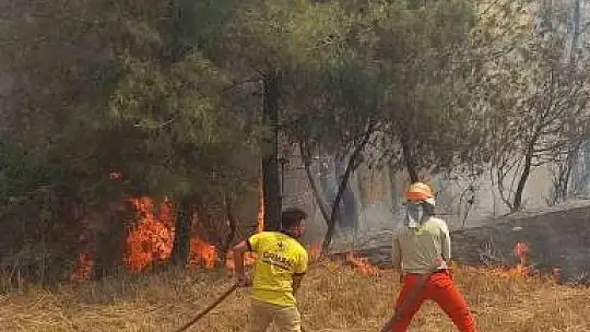 Adana'da orman yangını çıktı