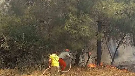 Adana'da orman yangını çıktı