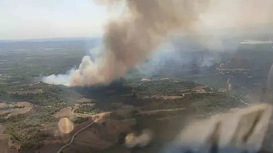 Adana'da orman yangını: Ekipler müdahaleye başladı