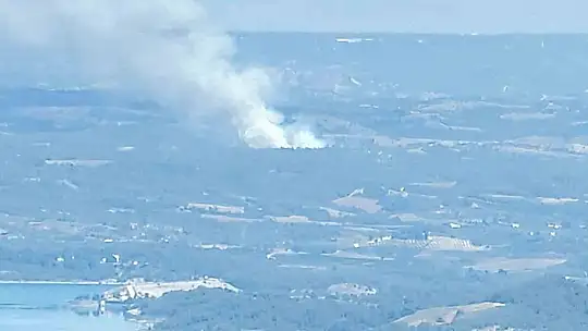 Adana'da orman yangını: Ekipler müdahaleye başladı