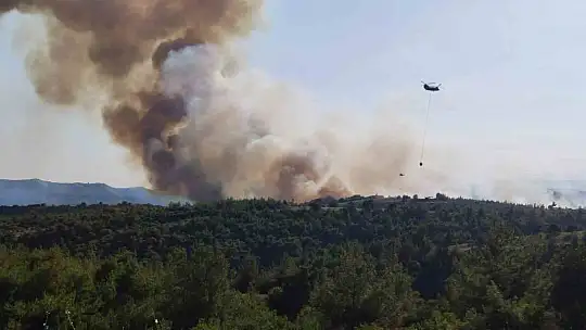 Adana'da orman yangını: Havadan ve karadan müdahale başladı