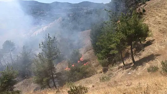 Adana'da orman yangını