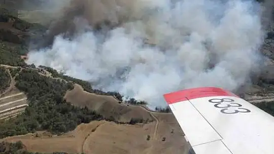 Adana'da orman yangını