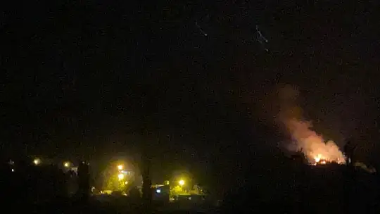 Adana'da orman yangını