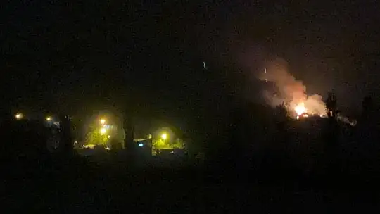 Adana'da orman yangını