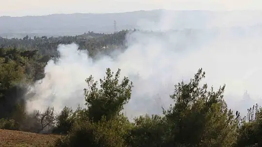 Adana'da orman yangınına havadan ve karadan müdahale devam ediyor