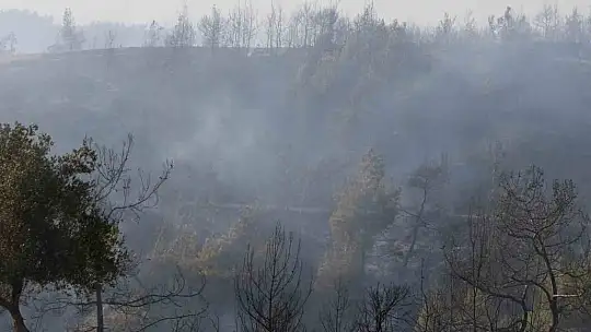 Adana'da orman yangınına havadan ve karadan müdahale devam ediyor