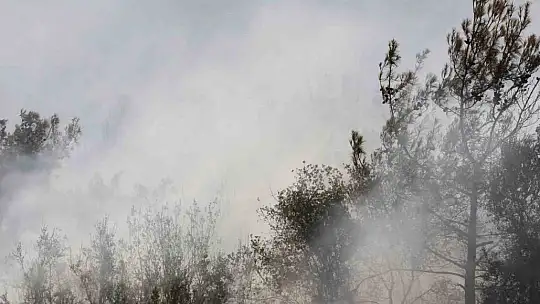 Adana'da orman yangınına havadan ve karadan müdahale devam ediyor