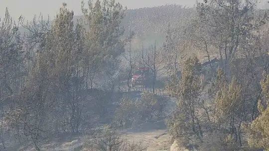 Adana'da orman yangınına havadan ve karadan müdahale devam ediyor