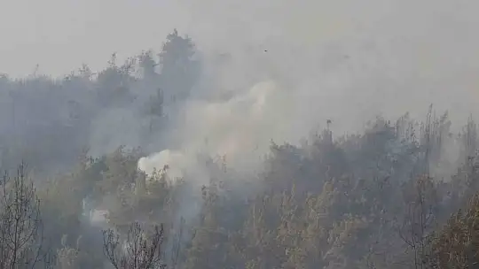 Adana'da orman yangınına havadan ve karadan müdahale devam ediyor