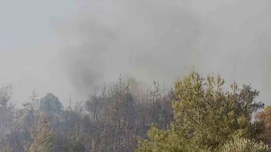 Adana'da orman yangınına havadan ve karadan müdahale devam ediyor