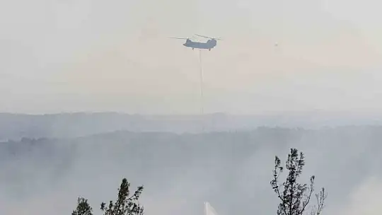 Adana'da orman yangınına havadan ve karadan müdahale devam ediyor