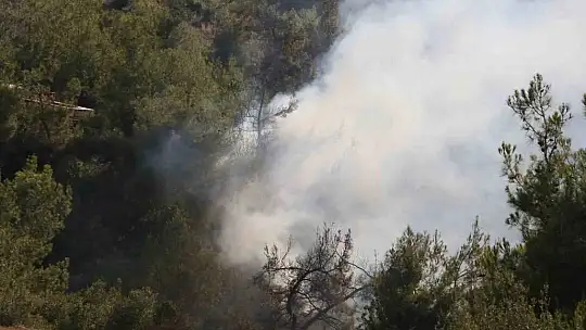 Adana'da orman yangınına havadan ve karadan müdahale devam ediyor