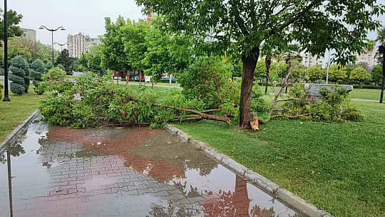 Adana'da sabah saatlerinde etkili olan sağanak her yeri su altında bıraktı