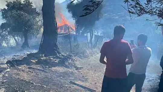 Adana'daki iki orman yangını kontrol altına alındı