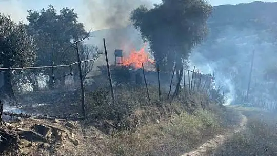 Adana'daki iki orman yangını kontrol altına alındı