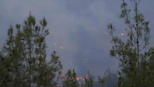 Adana'daki orman yangını devam ediyor