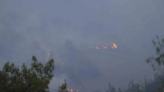 Adana'daki orman yangını devam ediyor
