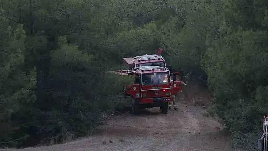 Adana'daki orman yangını devam ediyor
