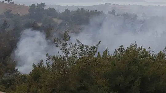 Adana'daki orman yangını devam ediyor