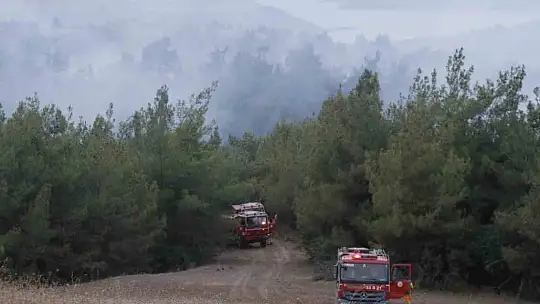 Adana'daki orman yangını devam ediyor