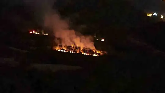 Adana'daki orman yangını kontrol altına alındı