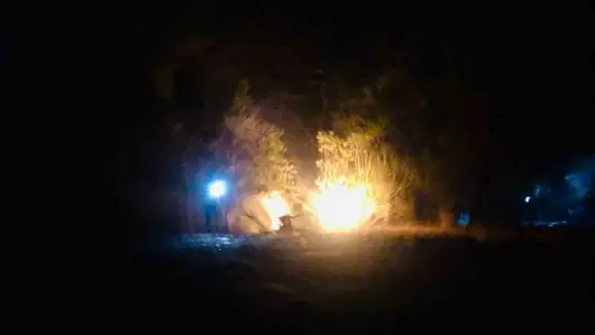 Adana'daki orman yangını kontrol altına alındı