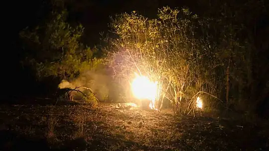 Adana'daki orman yangını kontrol altına alındı