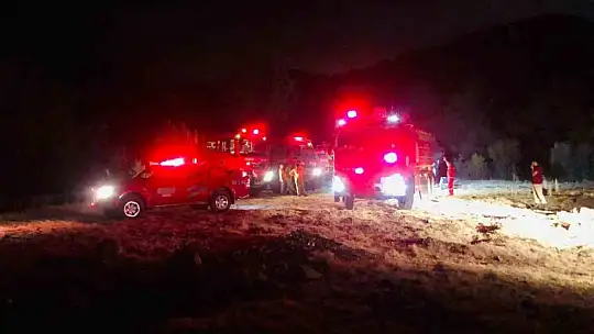 Adana'daki orman yangını kontrol altına alındı