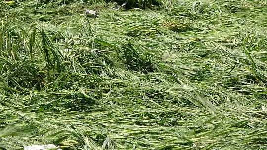 Adana Kozan'da selin ardından son durum