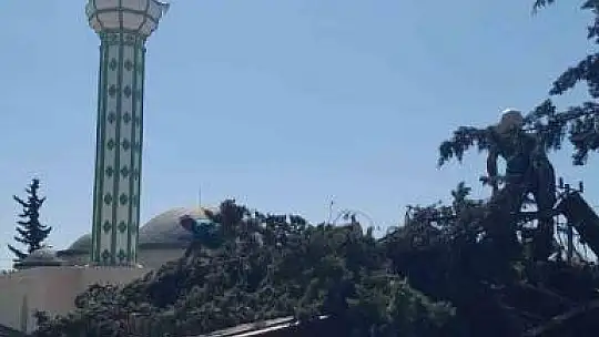 Ağaç lojmanın üzerine devrildi, ekipler kaldırdı