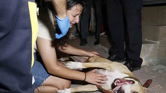 Apartmanda çıkan yangında can pazarı yaşandı: Çok sayıda kişi dumandan etkilendi