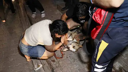 Apartmanda çıkan yangında can pazarı yaşandı: Çok sayıda kişi dumandan etkilendi