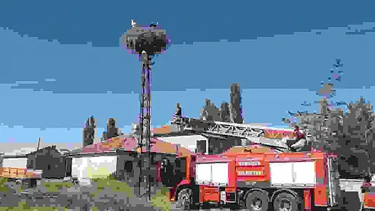 Ayağına ip dolanan leyleği itfaiye ekipleri kurtardı