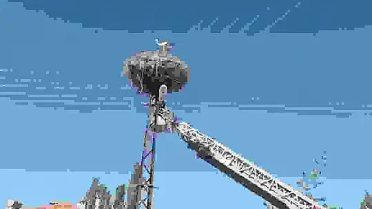 Ayağına ip dolanan leyleği itfaiye ekipleri kurtardı