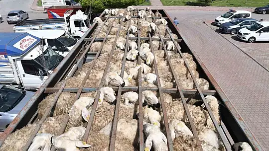 Büyükşehir'den çiftçilere 4 yıl'da 226 milyon 172 bin tl destek