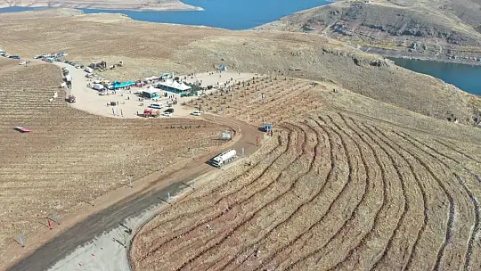 Başkan Çolakbayrakdar 'Bu yıl, 126 binden fazla ağacı toprakla buluşturduk'