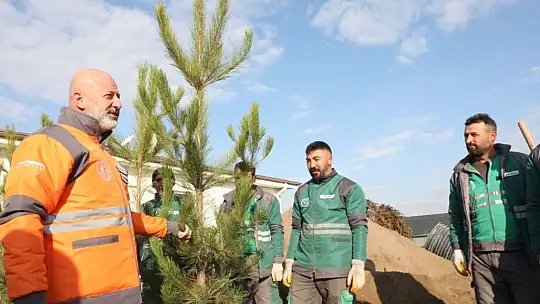 Başkan Çolakbayrakdar 'Kocasinan'da yemyeşil bir bahar olacak!'