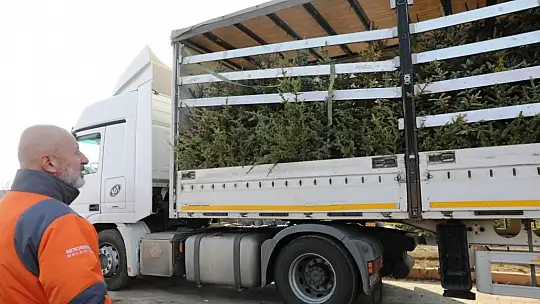 Başkan Çolakbayrakdar 'Kocasinan'da yemyeşil bir bahar olacak!'