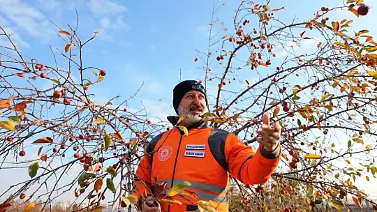 Başkan Çolakbayrakdar 'Kocasinan'da yemyeşil bir bahar olacak!'