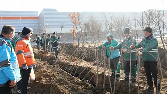 Başkan Çolakbayrakdar 'Kocasinan'da yemyeşil bir bahar olacak!'