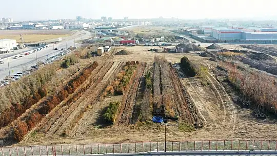 Başkan Çolakbayrakdar 'Kocasinan'da yemyeşil bir bahar olacak!'