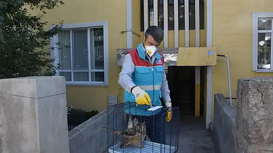 Küçük Dostlar Ambulansı 6 bin 439 can kurtardı