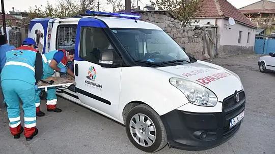 Küçük Dostlar Ambulansı 6 bin 439 can kurtardı