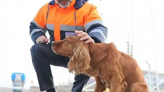 Küçük Dostlar Ambulansı 6 bin 439 can kurtardı