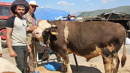 Bayram yaklaştı pazarlıklar kızıştı